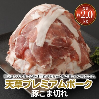 天草プレミアムポーク 豚こま切れ 約2.0kg(約500g×4パック)_S058-021A