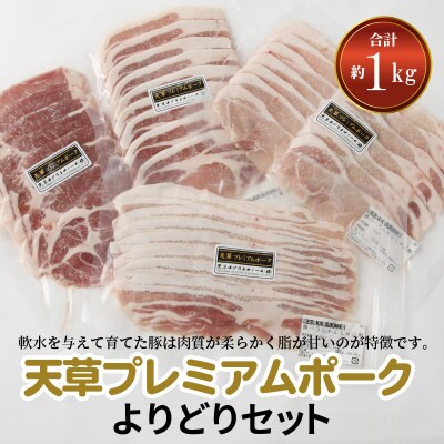 天草プレミアムポーク よりどりセット 約1kg_S058-018A