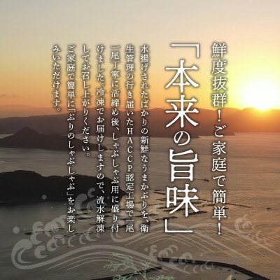 【天草育ち/産地直送】活じめ!うまかぶりしゃぶしゃぶ用スライス　300g×2P_S137-007