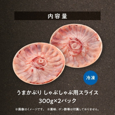 【天草育ち/産地直送】活じめ!うまかぶりしゃぶしゃぶ用スライス　300g×2P_S137-007