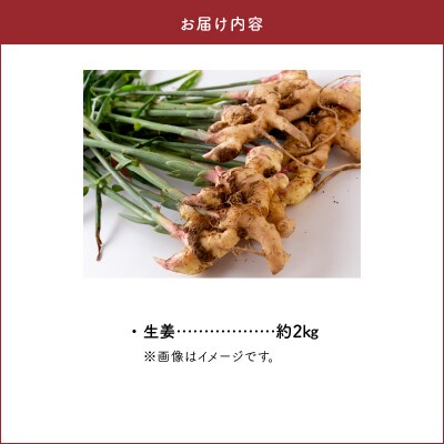 【先行受付】生姜約2kg_S143-004