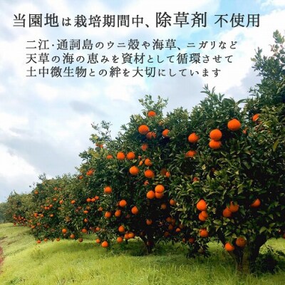 あまくさどろっぷすのじゅーす_S097-005A