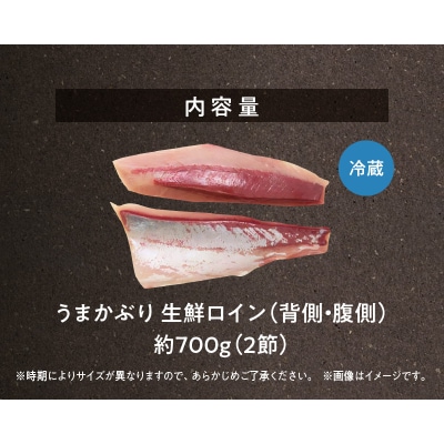 【天草育ち】活じめ!うまかぶり生鮮ロイン2節 約700g(切るだけ、手間いらず)_S137-010