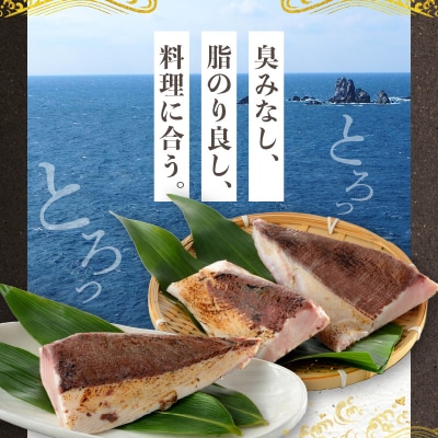 【天草育ち】活じめ!うまかぶりたたき2節　約700g(切るだけ、手間いらず)_S137-011
