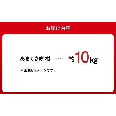 あまくさ晩柑 約10kg【先行受付】_S149-002