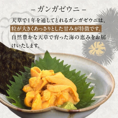 【指定日必須】殻出し生うに(ガンガゼウニ)50g×2本 うに用醤油付_S002-024