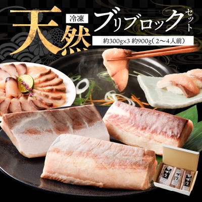 天然ブリ ブロックセット2～4人前(冷凍)_S147-001