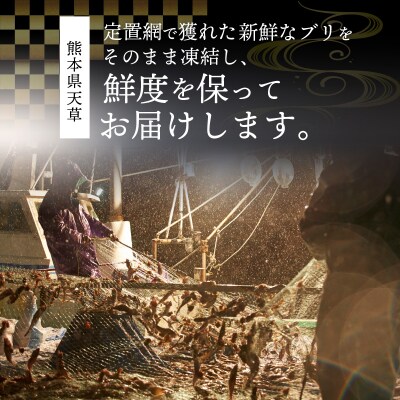 天然ブリ ブロックセット2～4人前(冷凍)_S147-001