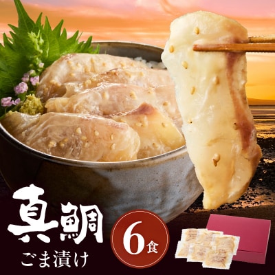 真鯛ごま漬け6食セット_S010-080