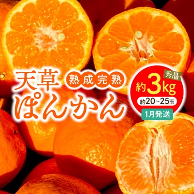 香りを食す!熟成完熟天草ぽんかん 1月発送 約3kg秀品〈先行受付〉_S117-003