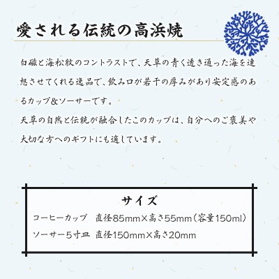 高浜焼寿芳窯　平型コーヒーカップ&ソーサ―　ペアセット_S026-017
