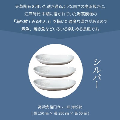天草 高浜焼 楕円カレー皿 3枚(シルバー)_S026-159