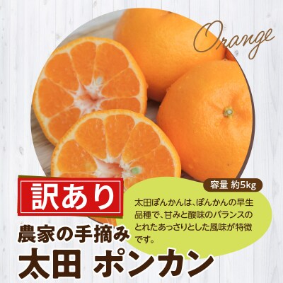 【訳あり】農家の手摘み 太田 ポンカン 家庭用約5kg_S040-027