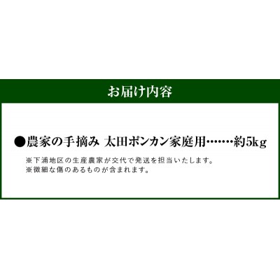 【訳あり】農家の手摘み 太田 ポンカン 家庭用約5kg_S040-027