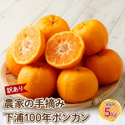 【訳あり】農家の手摘み　下浦100年ポンカン　家庭用　5kg_S040-029
