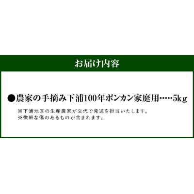 【訳あり】農家の手摘み　下浦100年ポンカン　家庭用　5kg_S040-029