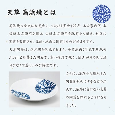 天草 高浜焼 楕円カレー皿 5枚セット(緑)_S026-056