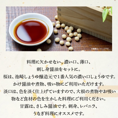 池崎しょうゆ醸造元 醤油 3本セット(濃い口、薄口、刺し身醤油)_S022-007
