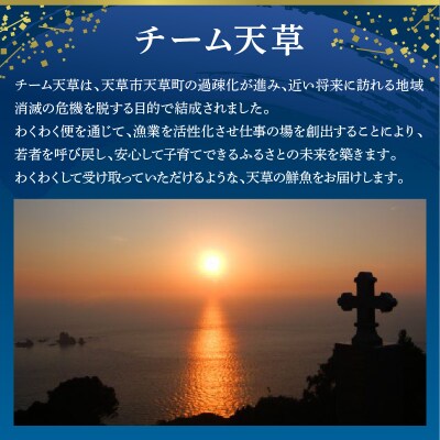 天草わくわく旬魚刺身セットミニ(1人用)_S059-021