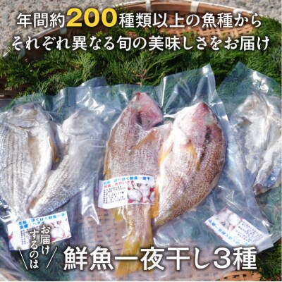 旬の鮮魚一夜干し3種お試しセット_S059-022