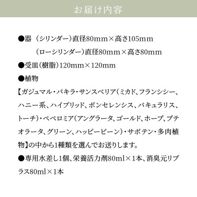 【ふるさと納税限定】初心者の人にもお勧め!エコ・ポチ　トライアルセット_S060-110