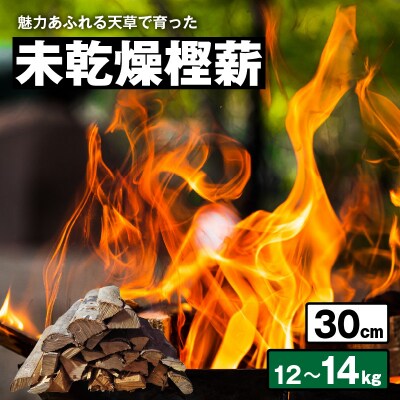 魅力あふれる天草で育った未乾燥樫薪(天樫　長さ30cm　12～14kg)_S163-010