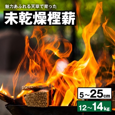 魅力あふれる天草で育った未乾燥樫薪(天樫　5cm～25cmコロ薪　12～14kg)_S163-012
