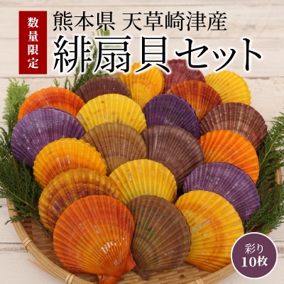 【先行受付】熊本県天草崎津産 緋扇貝(ひおうぎがい)彩り 10枚_S021-004