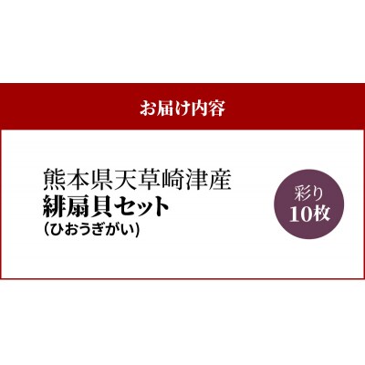 【先行受付】熊本県天草崎津産 緋扇貝(ひおうぎがい)彩り 10枚_S021-004