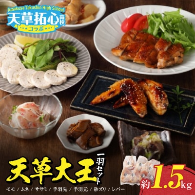 天草大王一羽セット_S168-010