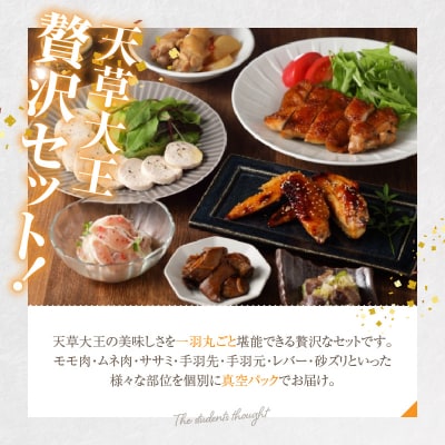 天草大王一羽セット_S168-010