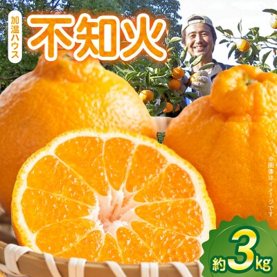 加温ハウス 不知火 約3kg【先行受付】_S149-004
