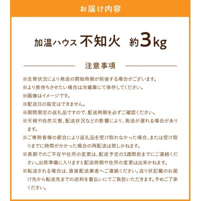 加温ハウス 不知火 約3kg【先行受付】_S149-004