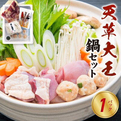 天草大王鍋セット(天草大王鶏肉・天草大王濃縮スープ・天草大王つみれ等)_S011-024