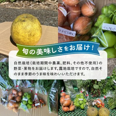 季節のおまかせ野菜と果物セット_S096-004