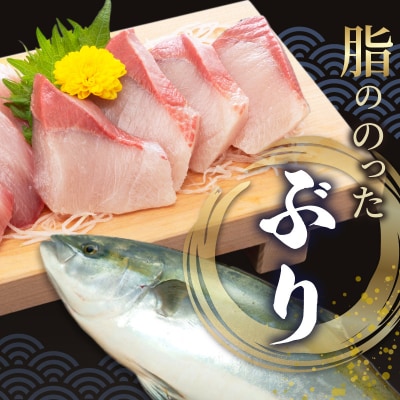 漁師の沖めしぶり(70g)×5袋_S006-013