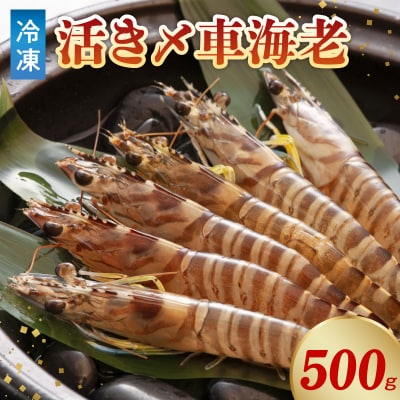 活き〆冷凍車海老 500g_S065-006