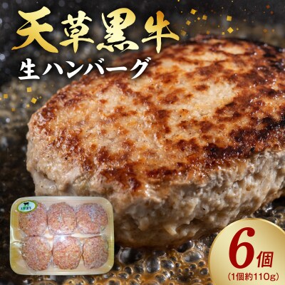 天草黒牛生ハンバーグ_S074-017