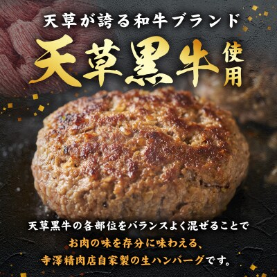 天草黒牛生ハンバーグ_S074-017