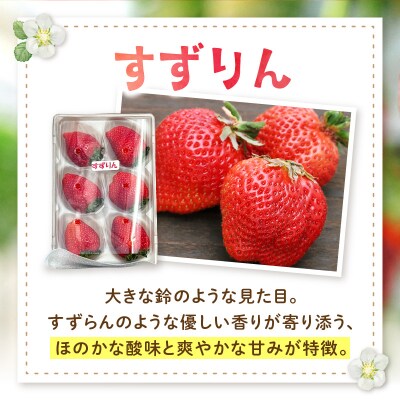 【3月～5月発送】朝摘み完熟イチゴセット(マロンベリー・すずりん)_S186-001-03
