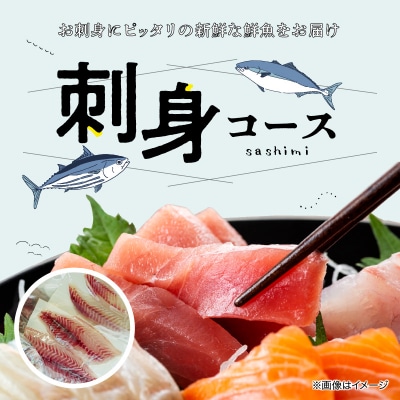 【指定日必須】刺身コース_S121-003A