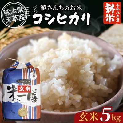 【令和8年産】コシヒカリ 玄米 5kg_S050-008-R8