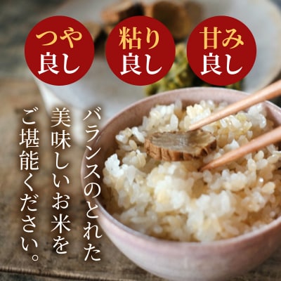 【令和8年産】コシヒカリ 玄米 5kg_S050-008-R8