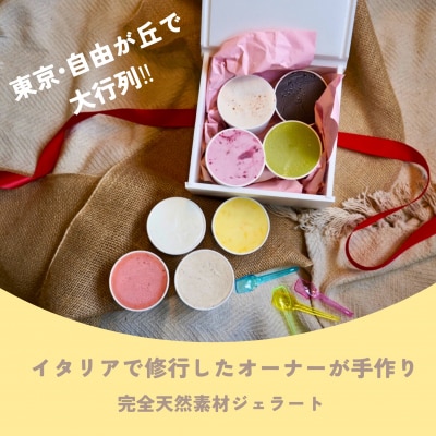 季節の天然素材ジェラート AmiCono seasonal 8種8CUPS SET