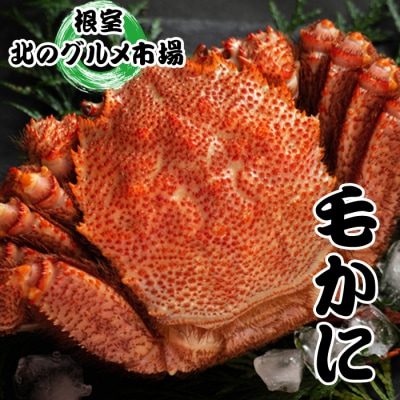 毛かに400g前後～550g前後×1尾 B-76007
