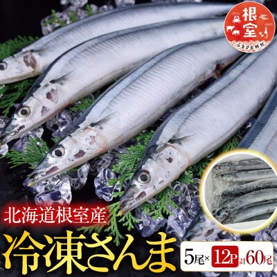 【北海道根室産】冷凍さんま5尾×12P(計60尾) D-76001