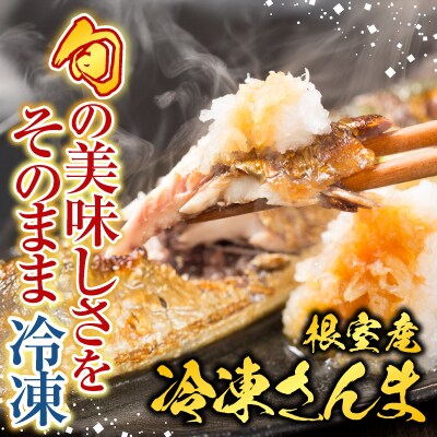 【北海道根室産】冷凍さんま5尾×12P(計60尾) D-76001