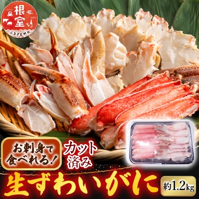 生食可!カット済み生ずわいがに約1.2kg B-14101