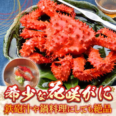 【北海道根室産】花咲かに400g～550g×2尾、たこ唐×2P B-30048