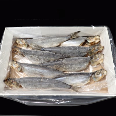 【年内配送可○】一夜干し子持ちにしん8尾 A-14136